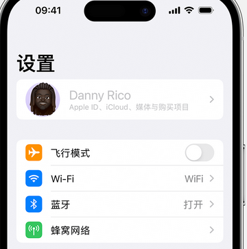 苍溪appleID维修服务iPhone设置中Apple ID显示为灰色无法使用