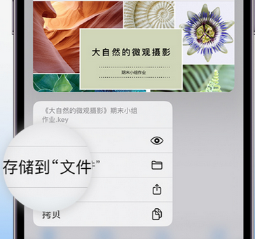 苍溪apple维修中心分享iPhone文件应用中存储和找到下载文件