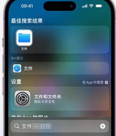 苍溪apple维修中心分享iPhone文件应用中存储和找到下载文件