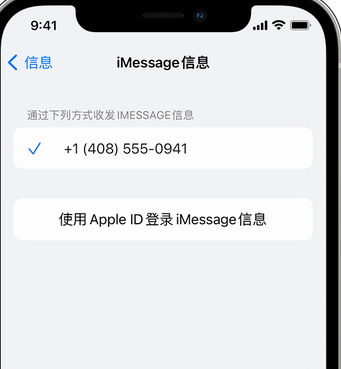 苍溪apple维修iPhone上无法正常发送iMessage信息 