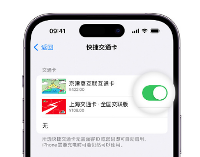 苍溪apple维修点分享iPhone上更换Apple Pay快捷交通卡手绘卡面 