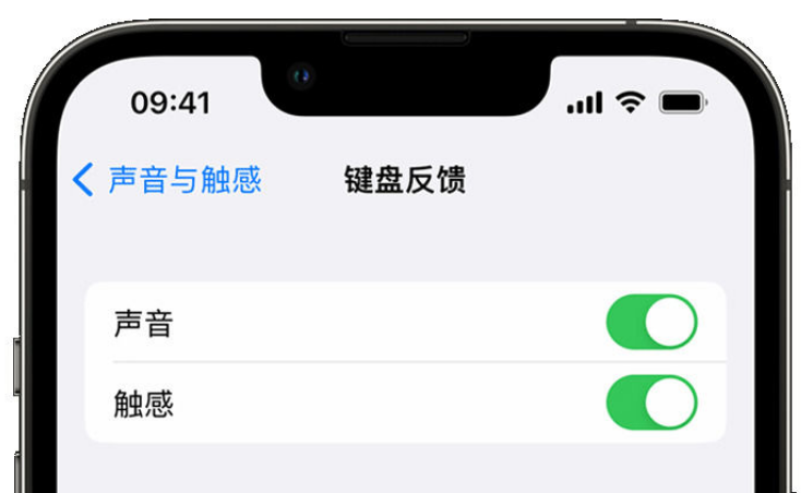 苍溪苹果手机维修分享iPhone 14触感键盘使用方法 