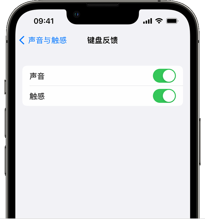 苍溪苹果14维修店分享如何在 iPhone 14 机型中使用触感键盘 