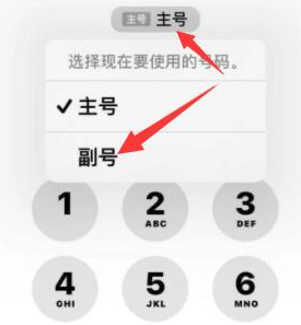 苍溪苹果14维修店分享iPhone 14 Pro Max使用副卡打电话的方法 