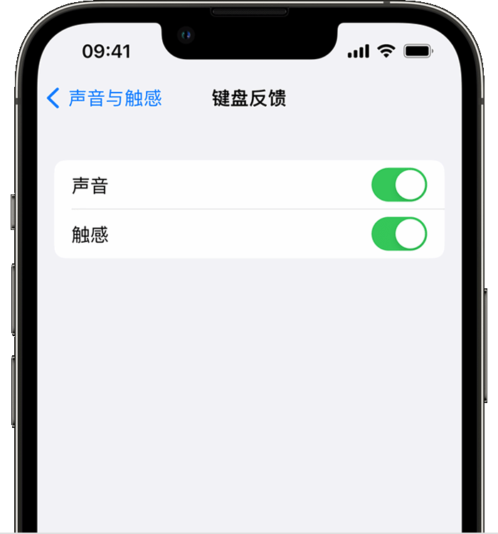 苍溪苹果14维修分享iPhone 14 系列机型如何开启键盘声音或触感反馈 