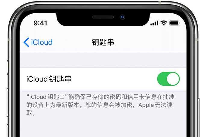 苍溪苹果手机维修分享在 iPhone 上开启 iCloud 钥匙串之后会储存哪些信息 