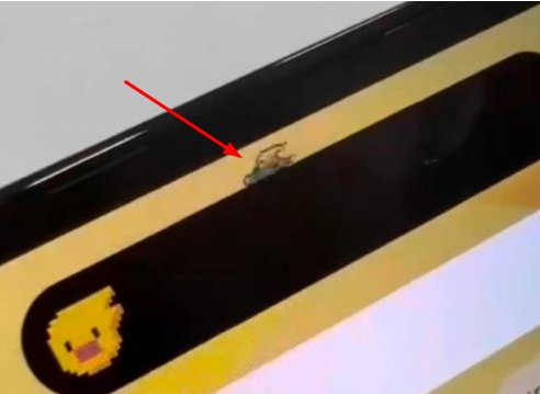 苍溪苹果14维修分享iPhone 14 Pro Max灵动岛怎么养宠物 