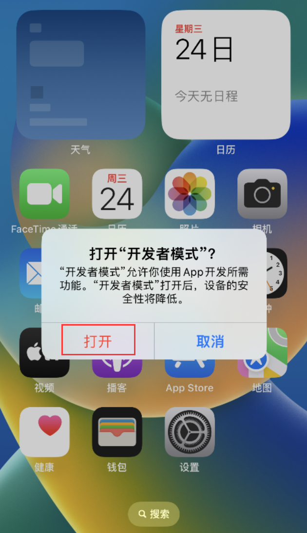 苍溪苹果手机维修分享如何打开开发者模式 