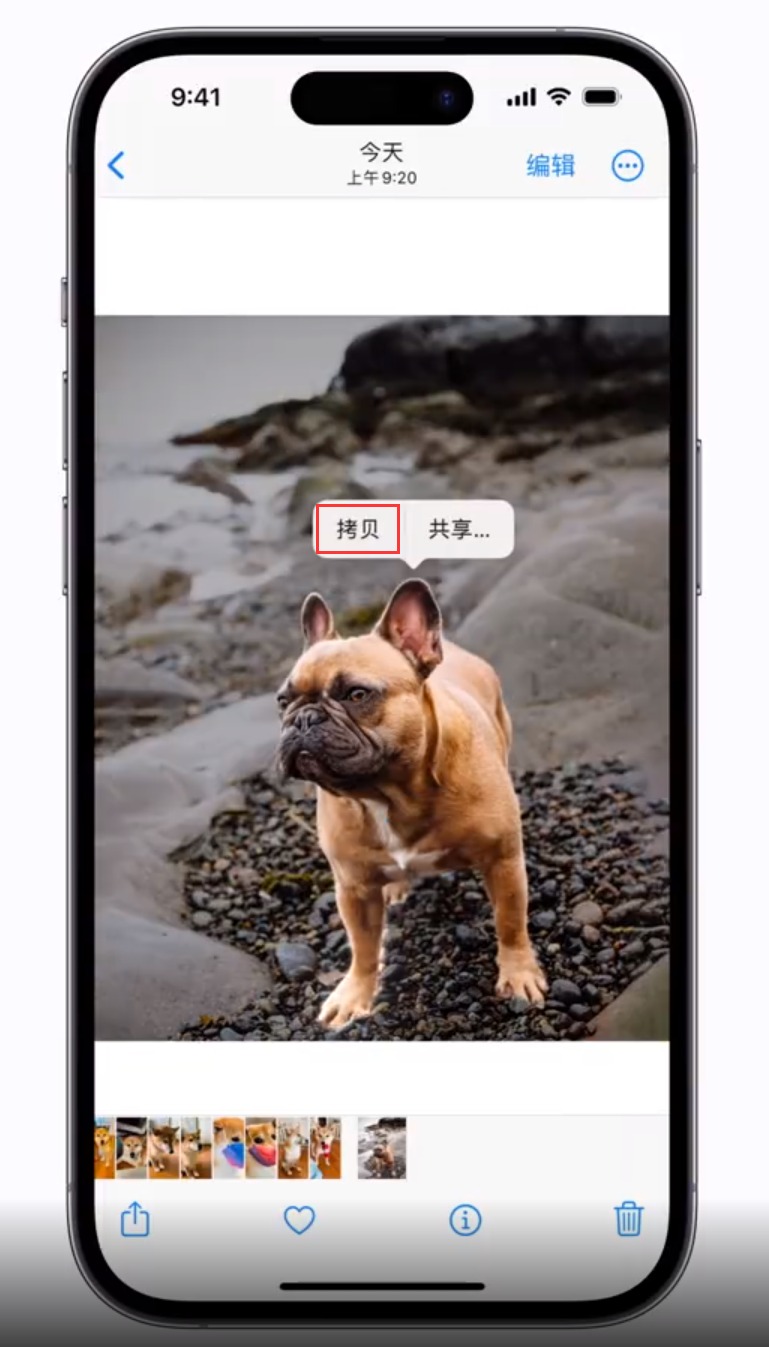 苍溪苹果手机维修分享 iOS 16 自带一键抠图功能 