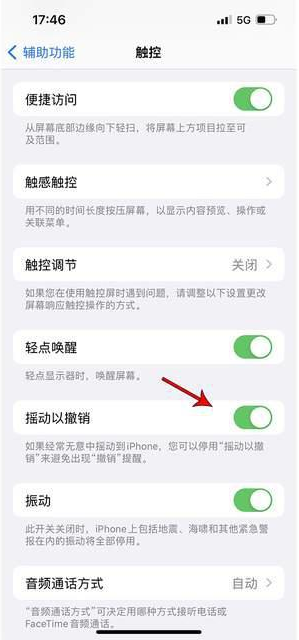 苍溪苹果手机维修分享iPhone手机如何设置摇一摇删除文字 