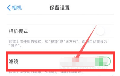 苍溪苹果13维修分享iPhone13拍照有绿点是怎么回事 