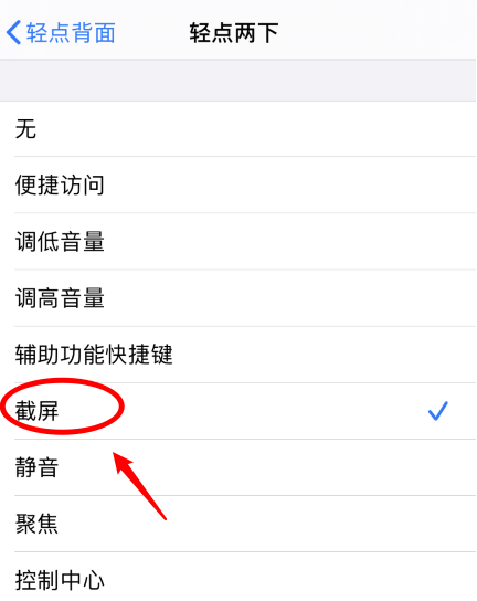 苍溪苹果手机维修分享iPhone12如何启用双击截屏 