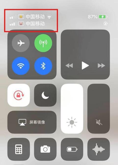 苍溪苹果手机维修分享为 iPhone 12 双卡设置标签 